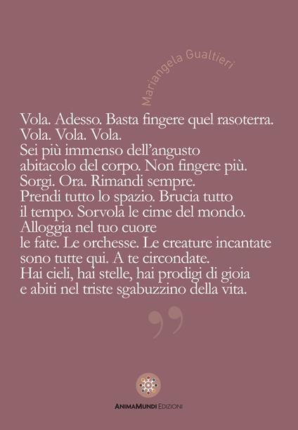 Vola. Adesso. Basta fingere quel rasoterra - copertina