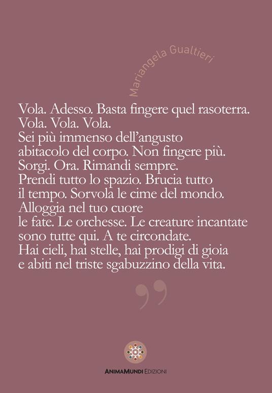 Vola. Adesso. Basta fingere quel rasoterra - copertina