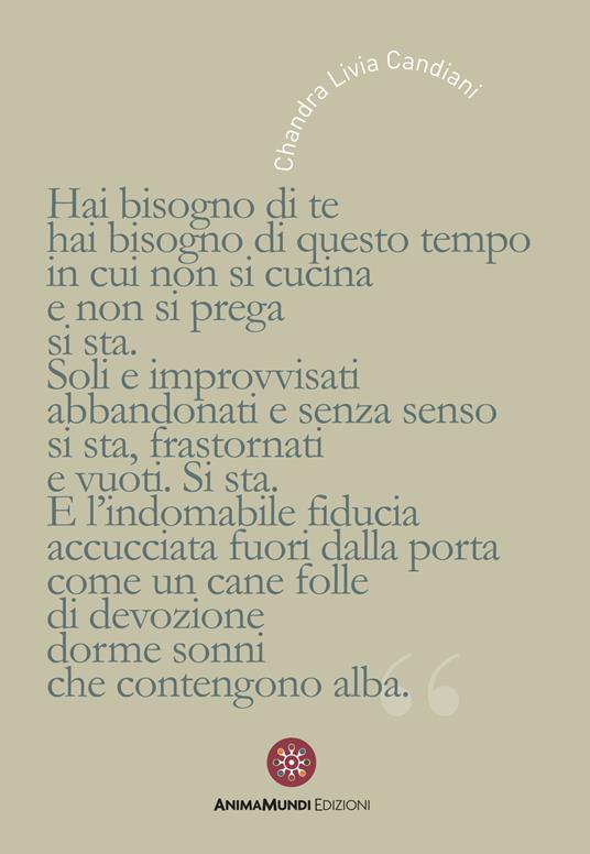 Hai bisogno di te, hai bisogno di questo tempo in cui non si cucina e non si prega, si sta - copertina