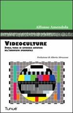 Videoculture. Storia, teorie ed esperienze artistiche dell'audiovisivo sperimentale