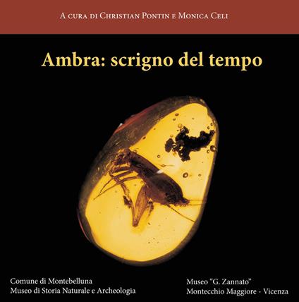 Ambra: scrigno del tempo. Ediz. illustrata - copertina