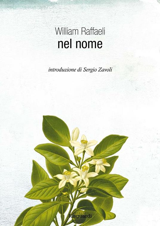 Nel nome - William Raffaeli - copertina