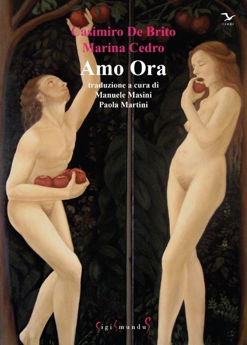 Amo ora - Casimiro De Brito,Marina Cedro - copertina