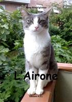 Nome prodotto