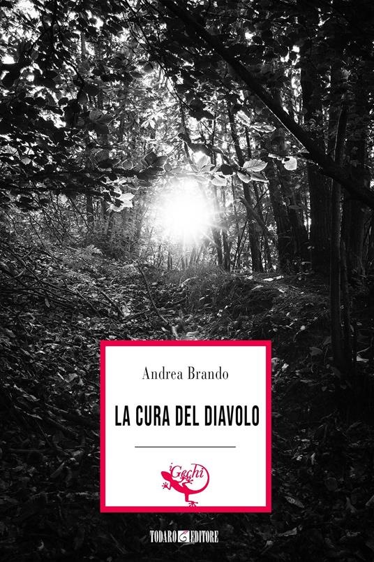 La cura del diavolo - Andrea Brando - ebook