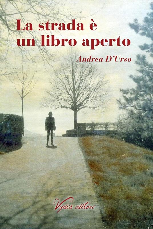 La strada è un libro aperto - Andrea D'Urso - copertina