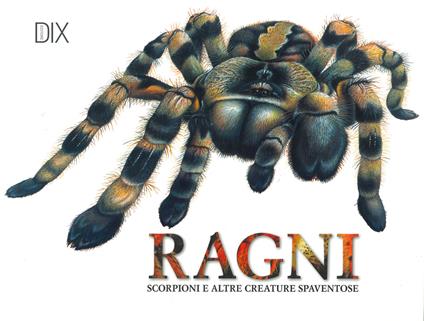 Ragni, scorpioni e altre creature spaventose. Ediz. a colori - Claudia Martin - copertina