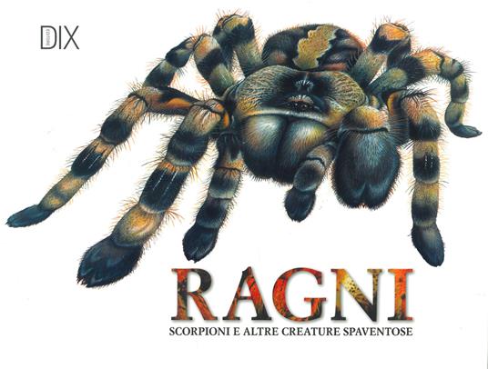 Ragni, scorpioni e altre creature spaventose. Ediz. a colori - Claudia Martin - copertina