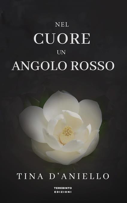 Nel cuore un angolo rosso - Tina D'Aniello - copertina