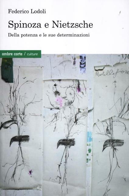Spinoza e Nietzsche. Della potenza e le sue determinazioni - Federico Lodoli - copertina