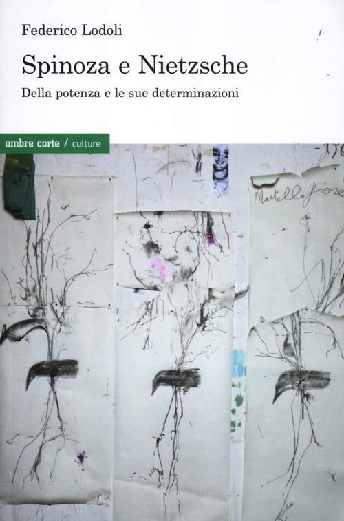 Spinoza e Nietzsche. Della potenza e le sue determinazioni - Federico Lodoli - copertina