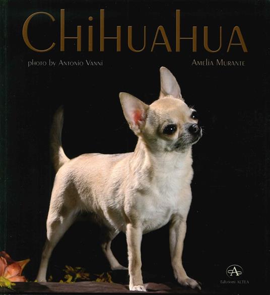 Chihuahua - Amelia Murante - copertina