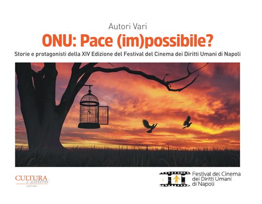 ONU: Pace (im)possibile? Storie e protagonisti della XIV Edizione del Festival del Cinema dei Diritti Umani di Napoli - copertina