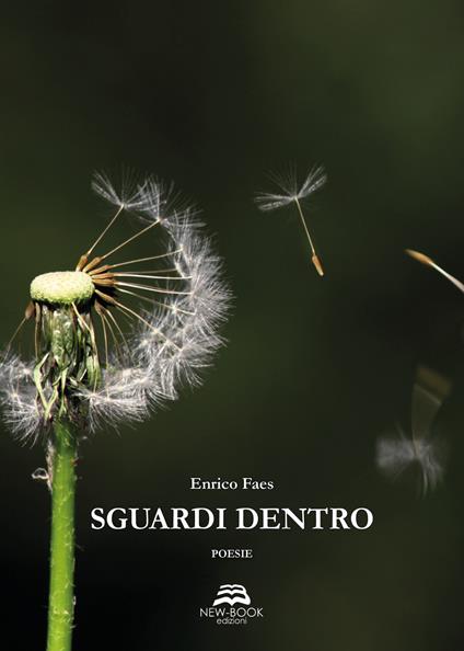 Sguardi dentro - Enrico Faes - copertina