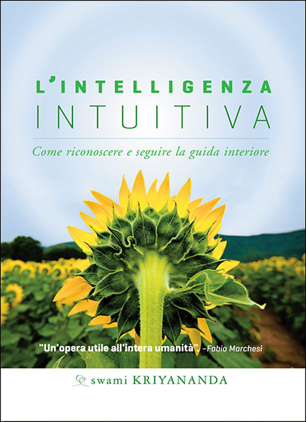 Libreria Internazionale Romagnosi snc