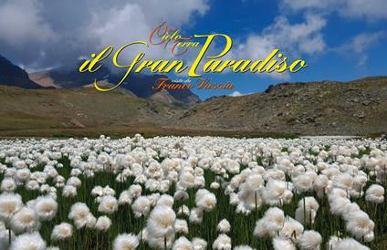 Il Gran Paradiso visto da Franco Vassia. Ediz. italiana e inglese - Franco Vassia - copertina
