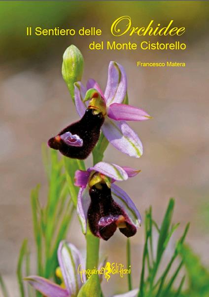 Il sentiero delle orchidee del monte Cistorello - Francesco Matera - copertina