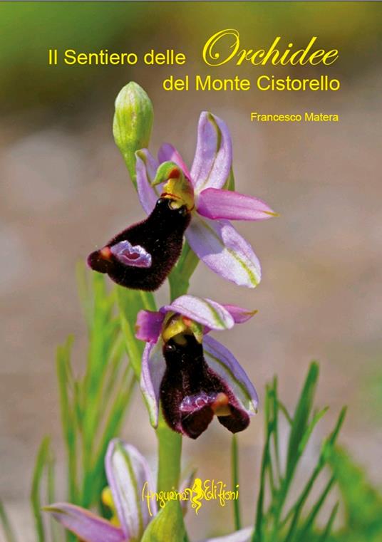 Il sentiero delle orchidee del monte Cistorello - Francesco Matera - copertina