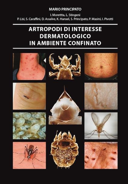 Artropodi di interesse dermatologico in ambiente confinato - copertina