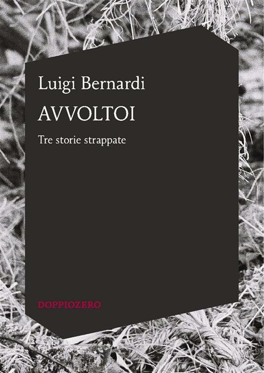 Avvoltoi. Tre storie strappate - Luigi Bernardi - ebook