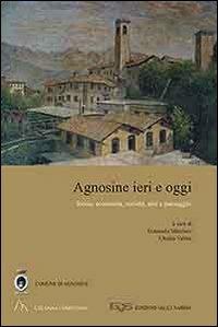 Agnosine ieri e oggi. Storia, economia, società, arte e paesaggio - copertina