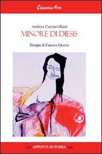 Minore di diesis - Andrea Cacciavillani - copertina