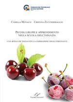 Piccoli gruppi e apprendimento nella scuola dell'infanzia. Una sfida che inizia con la formazione degli insegnanti