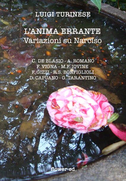 L' anima errante. Variazioni su Narciso - Luigi Turinese - ebook