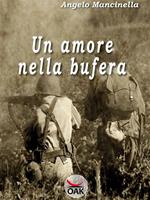 Un amore nella bufera