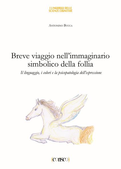 Breve viaggio nell'immaginario simbolico della follia. Il linguaggio i colori e la psicopatologia dell'espressione - Antonino Bucca - copertina