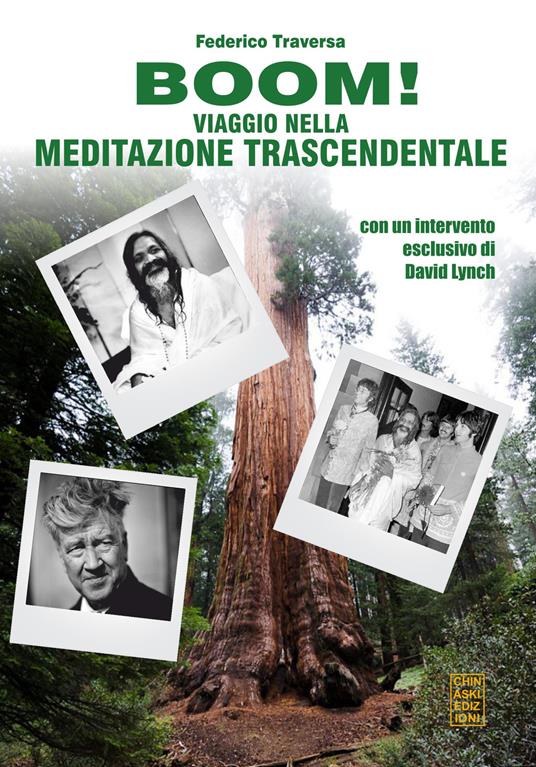 Boom! Viaggio nella meditazione trascendentale - Federico Traversa - ebook