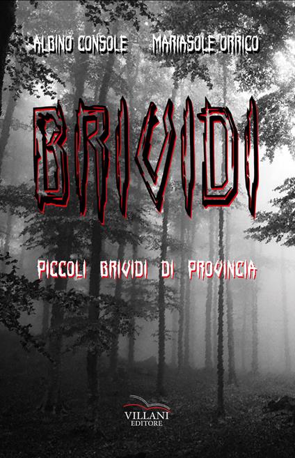 Brividi. Piccoli brividi di provincia - Albino Console,Mariasole Orrico - copertina