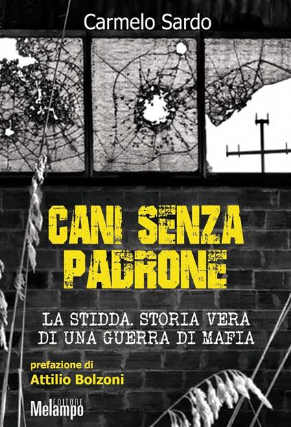 Cani senza padrone. La Stidda. Storia vera di una guerra di mafia - Carmelo Sardo - copertina