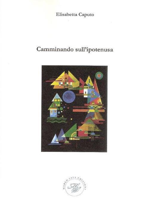 Camminando sull'ipotenusa - Elisabetta Caputo - copertina