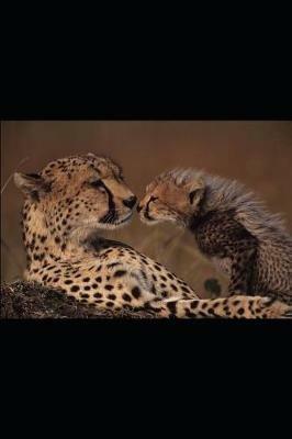 La separazione e la famiglia che cambia - Barbara Mariano - copertina