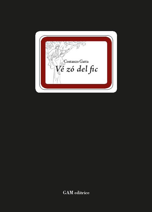 Vé zó del fic - Costanzo Gatta - copertina