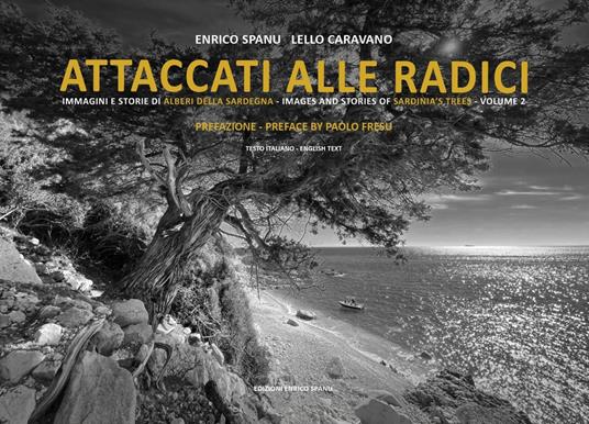 Attaccati alle radici. Immagini e storie di alberi della Sardegna. Images and stories of Sardinia's trees. Vol. 2 - Enrico Spanu,Caravano Lello - copertina