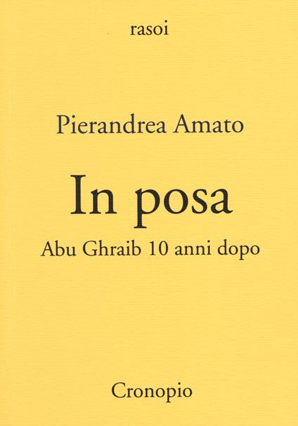In posa. Abu Ghraib 10 anni dopo - Pierandrea Amato - copertina