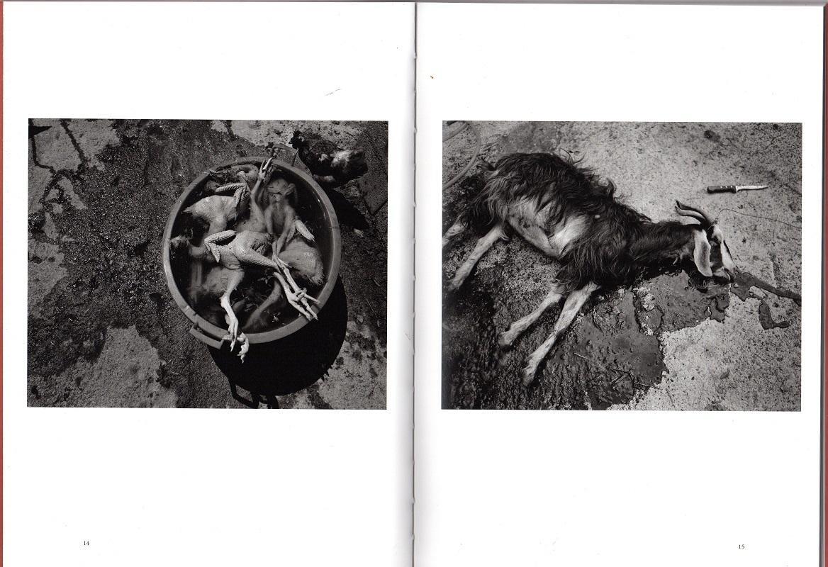 Studio Bibliografico Marini