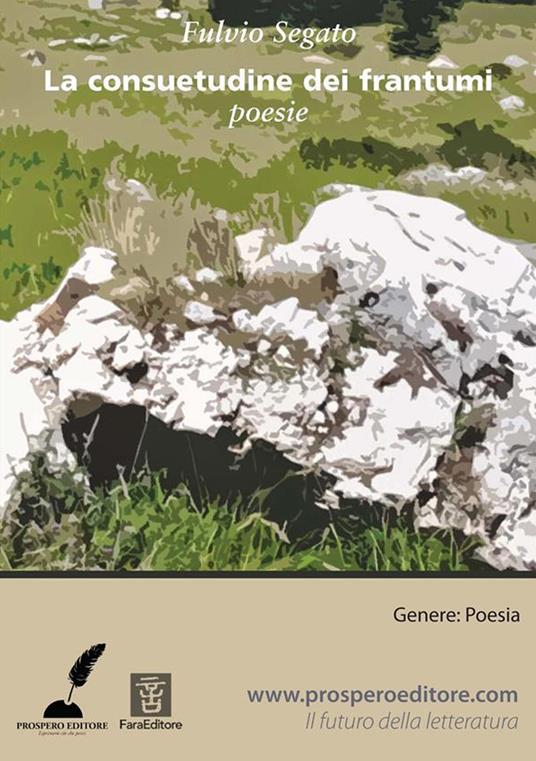 La consuetudine dei frantumi - Fulvio Segato - ebook
