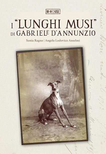 I «lunghi musi» di Gabriele d'Annunzio - Sonia Ragno,Angelo Lodovico Anselmi - copertina