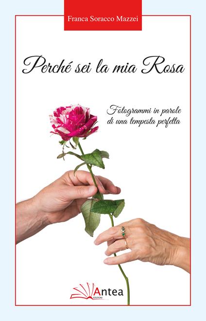 Perché sei la mia Rosa. Fotogrammi in parole di una tempesta perfetta - Franca Soracco Mazzei - copertina