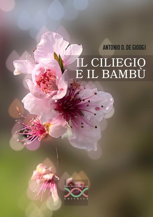 Il ciliegio e il bambù - Antonio Daniele De Giorgi - copertina