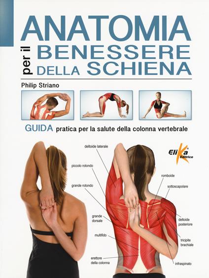 Anatomia per il benessere della schiena. Guida pratica per la salute della colonna vertebrale. Ediz. a colori - Philip Striano - copertina