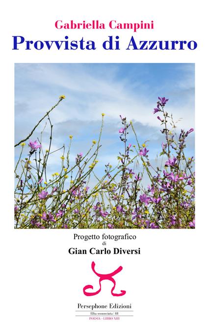 Provvista di Azzurro - Gabriella Campini - copertina