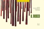 Il bosco. Versione kamishibai. Ediz. a colori. Con valigia in legno