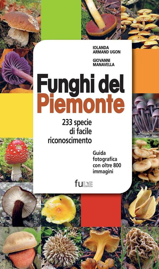 Funghi del Piemonte. 233 specie di facile riconoscimento - Iolanda Armand Ugon,Giovanni Manavella - copertina