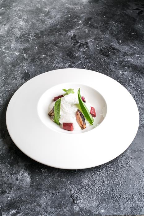 La nuova cucina di mare. Tecnica, innovazione e ricerca in cento ricette con pesci, crostacei e molluschi - Viviana Varese - 2