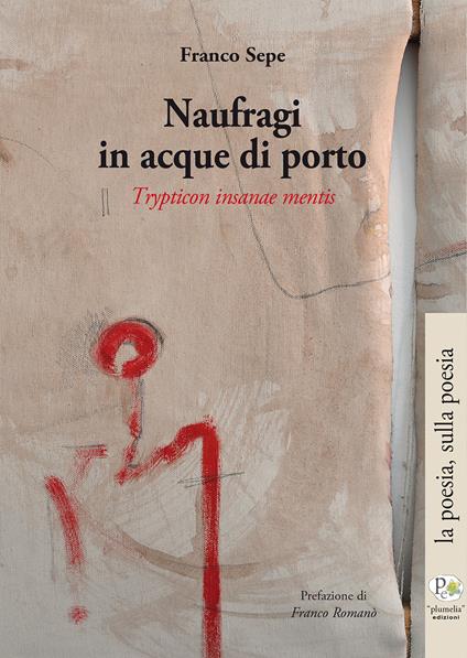 Naufragi in acque di porto. Trypticon insanae mentis - Franco Sepe - copertina