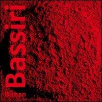 Bizhan Bassiri. Manifesto del pensiero magmatico 1986-2013 - Bizhan Bassiri - copertina